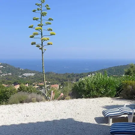 Apartment Les Jardins D'azur.5 *